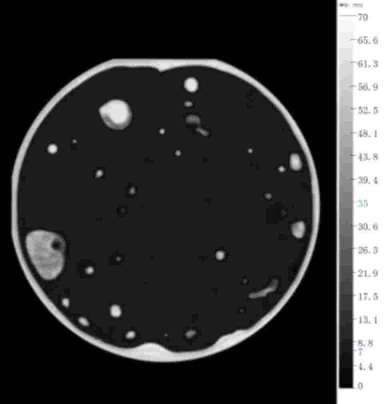 Csam Lab What is Confocal Scanning Acoustic Microscope (C-SAM). - Hiwave SAM ...
